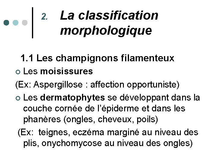 2. La classification morphologique 1. 1 Les champignons filamenteux Les moisissures (Ex: Aspergillose :