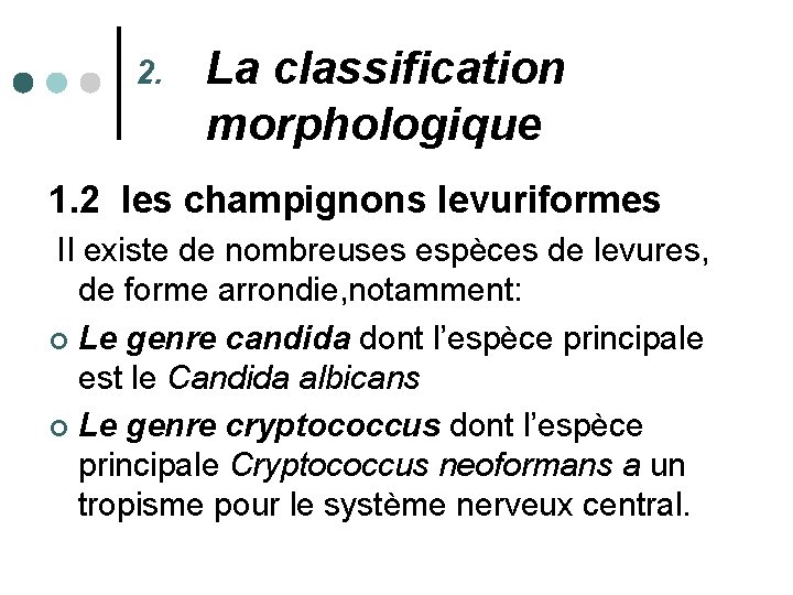 2. La classification morphologique 1. 2 les champignons levuriformes Il existe de nombreuses espèces