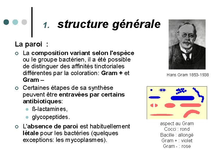 1. structure générale La paroi : ¢ ¢ ¢ La composition variant selon l'espèce