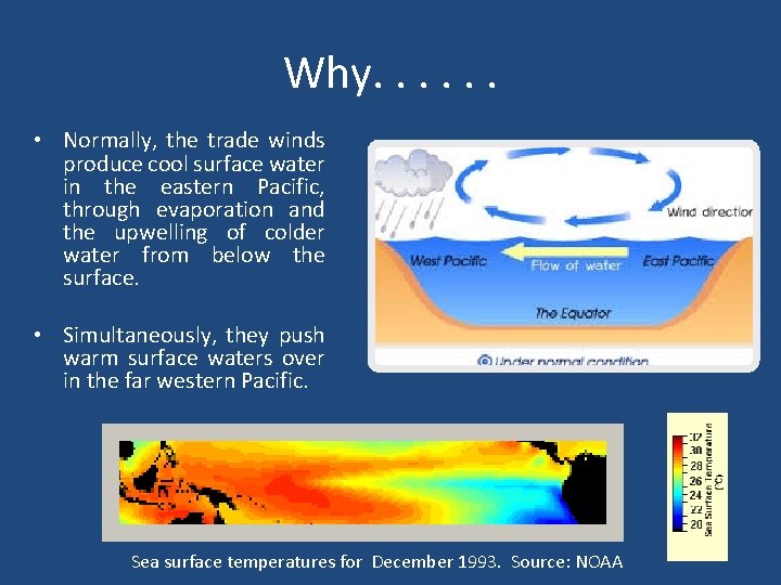 Why. . . • Normally, the trade winds produce cool surface water in the
