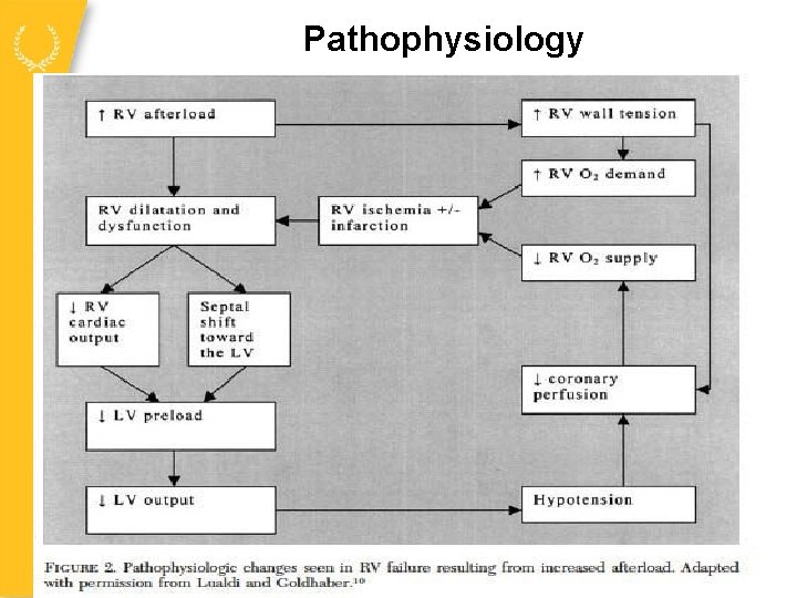 Pathophysiology 