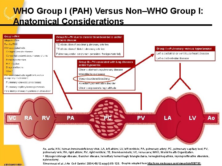 WHO Group I (PAH) Versus Non–WHO Group I: Anatomical Considerations VC US/DS/MAR 11/001 RA