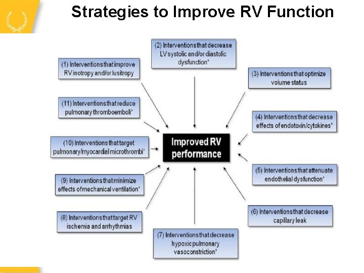 Strategies to Improve RV Function 