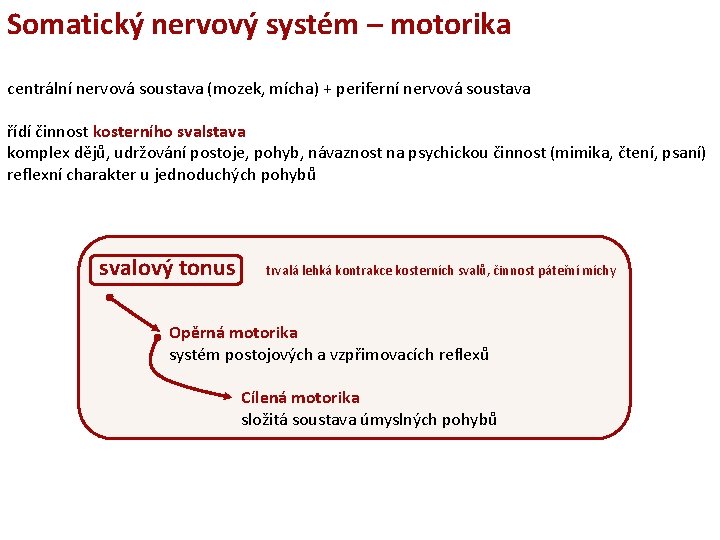 Somatický nervový systém – motorika centrální nervová soustava (mozek, mícha) + periferní nervová soustava