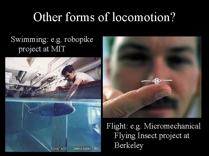 Other forms of locomotion? Swimming: e. g. robopike project at MIT Flight: e. g. Other forms of locomotion? Swimming: e. g. robopike project at MIT Flight: e. g.