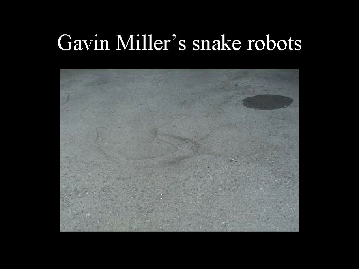 Gavin Miller’s snake robots Gavin Miller’s snake robots