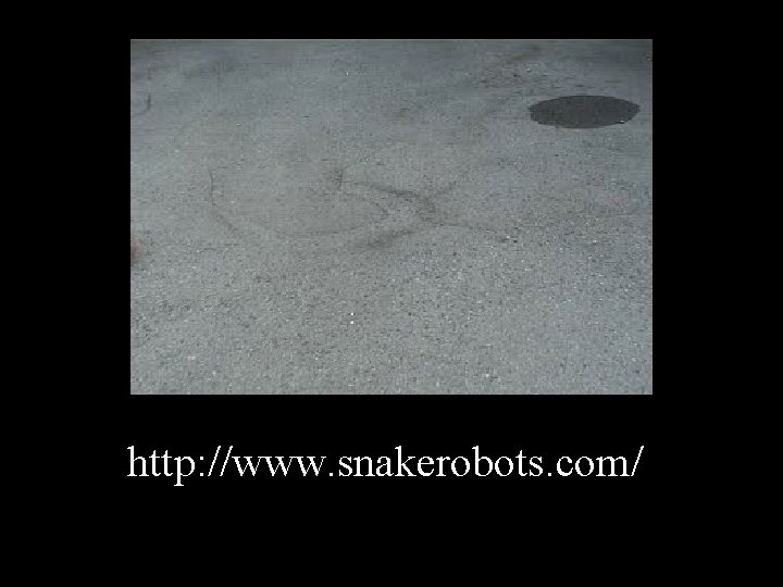http: //www. snakerobots. com/ http: //www. snakerobots. com/
