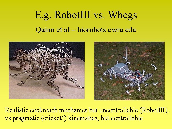E. g. Robot. III vs. Whegs Quinn et al – biorobots. cwru. edu Realistic E. g. Robot. III vs. Whegs Quinn et al – biorobots. cwru. edu Realistic