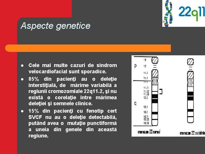 Aspecte genetice l l l Cele mai multe cazuri de sindrom velocardiofacial sunt sporadice. Aspecte genetice l l l Cele mai multe cazuri de sindrom velocardiofacial sunt sporadice.