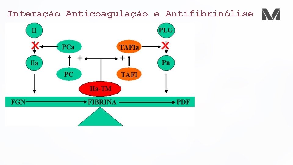 Interação Anticoagulação e Antifibrinólise 