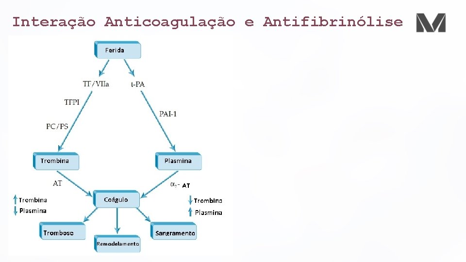 Interação Anticoagulação e Antifibrinólise 