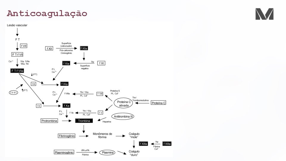 Anticoagulação 