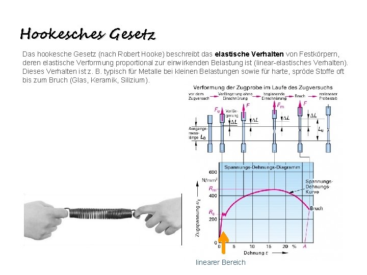 Hookesches Gesetz Das hookesche Gesetz (nach Robert Hooke) beschreibt das elastische Verhalten von Festkörpern,