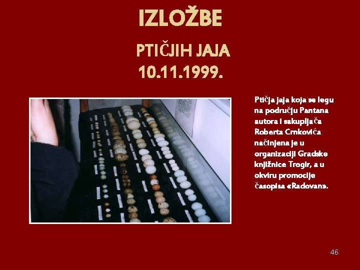 IZLOŽBE PTIČJIH JAJA 10. 11. 1999. Ptičja jaja koja se legu na području Pantana