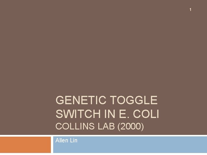 1 GENETIC TOGGLE SWITCH IN E. COLI COLLINS LAB (2000) Allen Lin 