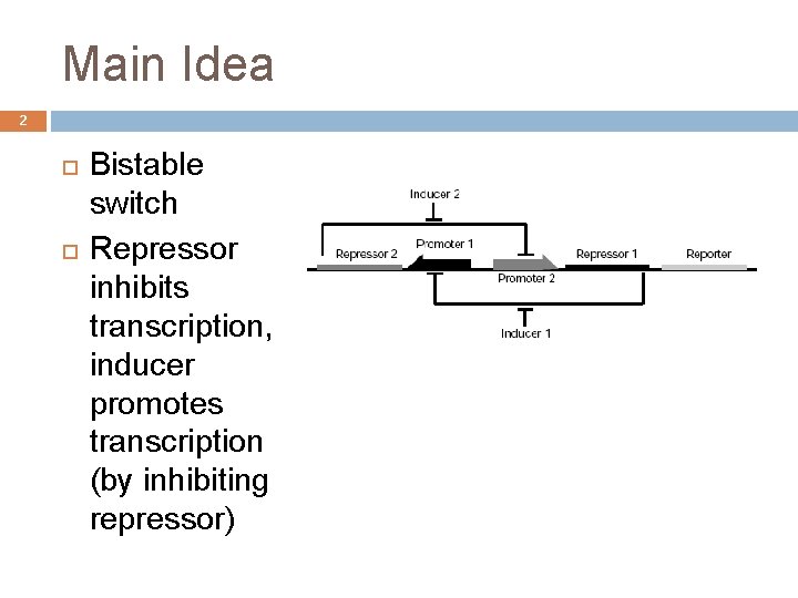 Main Idea 2 Bistable switch Repressor inhibits transcription, inducer promotes transcription (by inhibiting repressor)