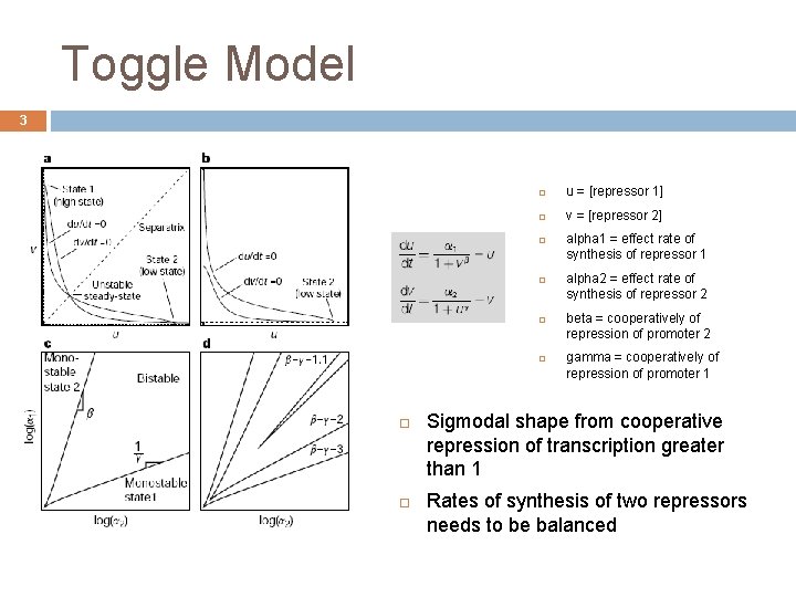 Toggle Model 3 u = [repressor 1] v = [repressor 2] alpha 1 =