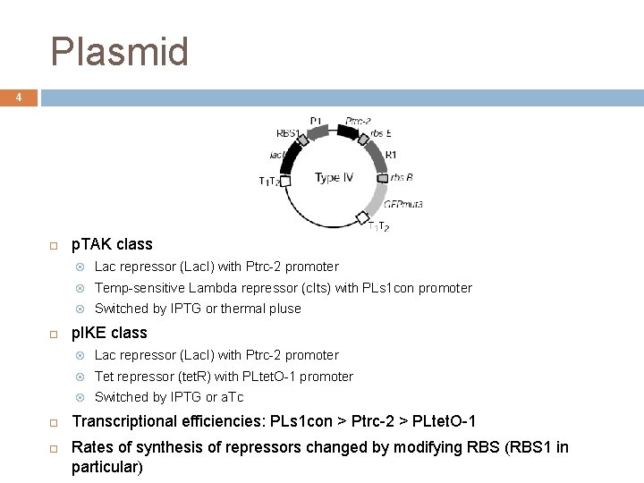 Plasmid 4 p. TAK class Lac repressor (Lac. I) with Ptrc-2 promoter Temp-sensitive Lambda