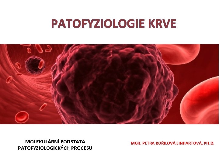 PATOFYZIOLOGIE KRVE MOLEKULÁRNÍ PODSTATA PATOFYZIOLOGICKÝCH PROCESŮ MGR. PETRA BOŘILOVÁ LINHARTOVÁ, PH. D. 