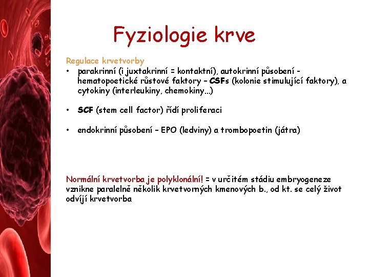 Fyziologie krve Regulace krvetvorby • parakrinní (i juxtakrinní = kontaktní), autokrinní působení hematopoetické růstové