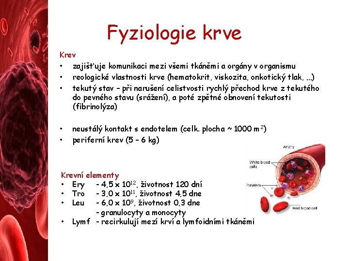 Fyziologie krve Krev • zajišťuje komunikaci mezi všemi tkáněmi a orgány v organismu •