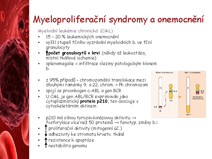 Myeloproliferační syndromy a onemocnění Myeloidní leukémie chronická (CML) • 15 – 20 % leukemických