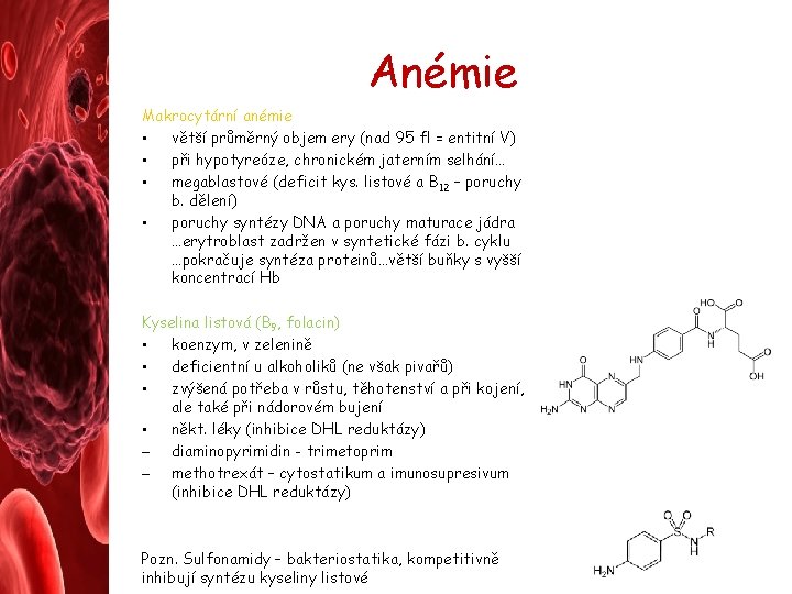 Anémie Makrocytární anémie • větší průměrný objem ery (nad 95 fl = entitní V) Anémie Makrocytární anémie • větší průměrný objem ery (nad 95 fl = entitní V)