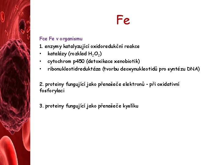 Fe Fce Fe v organismu 1. enzymy katalyzující oxidoredukční reakce • katalázy (rozklad H