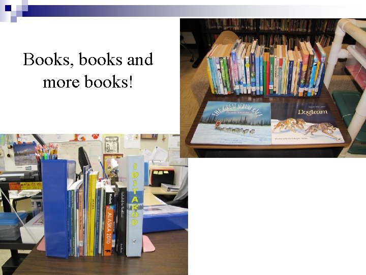 Books, books and more books! 