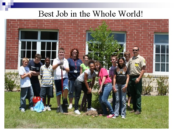 Best Job in the Whole World! 