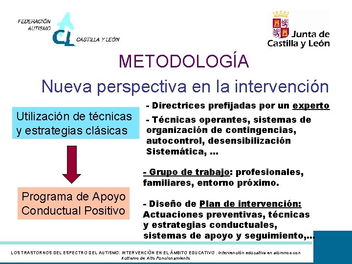 METODOLOGÍA Nueva perspectiva en la intervención Utilización de técnicas y estrategias clásicas - Directrices