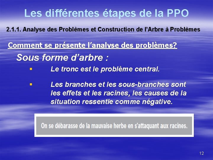 Les différentes étapes de la PPO 2. 1. 1. Analyse des Problèmes et Construction