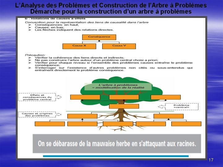 L’Analyse des Problèmes et Construction de l’Arbre à Problèmes Démarche pour la construction d’un
