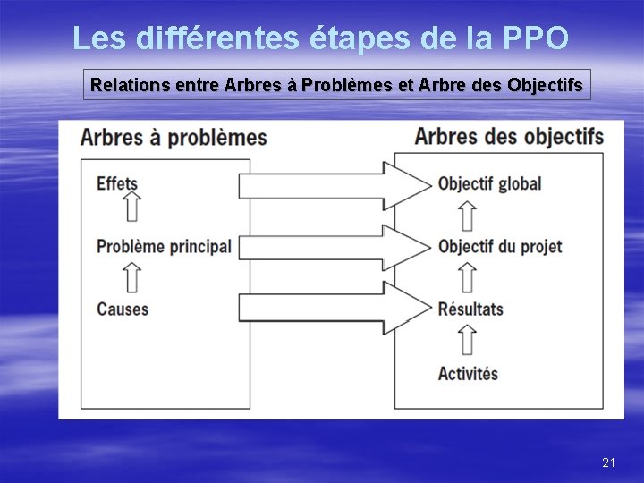Les différentes étapes de la PPO Relations entre Arbres à Problèmes et Arbre des
