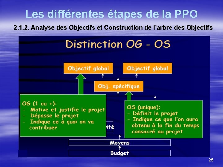 Les différentes étapes de la PPO 2. 1. 2. Analyse des Objectifs et Construction