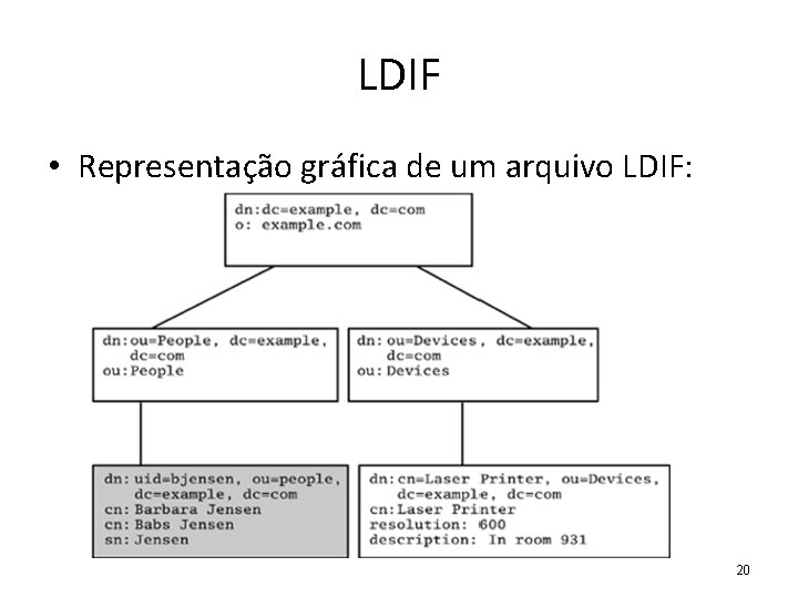 LDIF • Representação gráfica de um arquivo LDIF: 20 