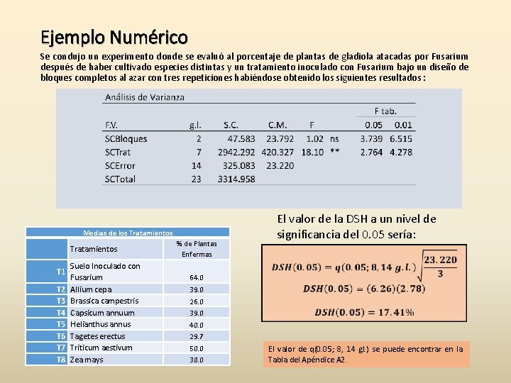 Ejemplo Numérico Se condujo un experimento donde se evaluó al porcentaje de plantas de