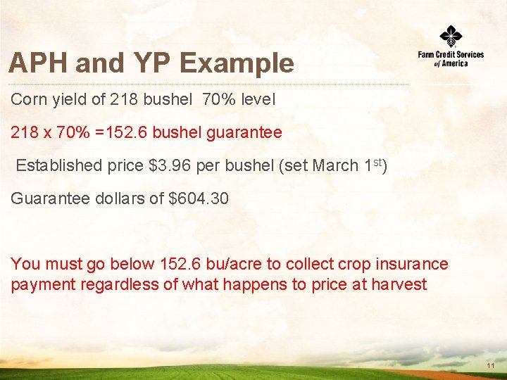 APH and YP Example Corn yield of 218 bushel 70% level 218 x 70%