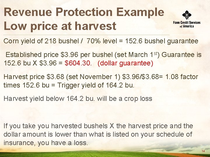 Revenue Protection Example Low price at harvest Corn yield of 218 bushel / 70%