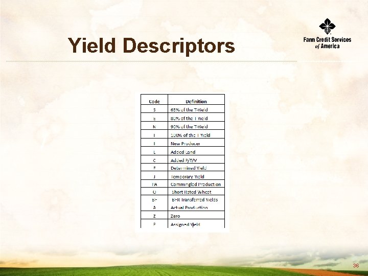 Yield Descriptors 36 