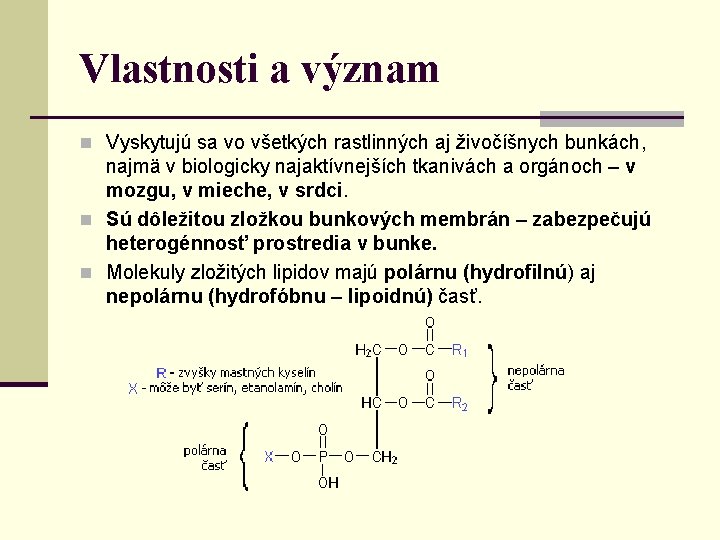 Vlastnosti a význam n Vyskytujú sa vo všetkých rastlinných aj živočíšnych bunkách, najmä v