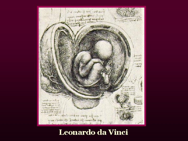 Leonardo da Vinci 