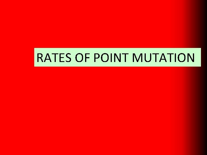RATES OF POINT MUTATION 