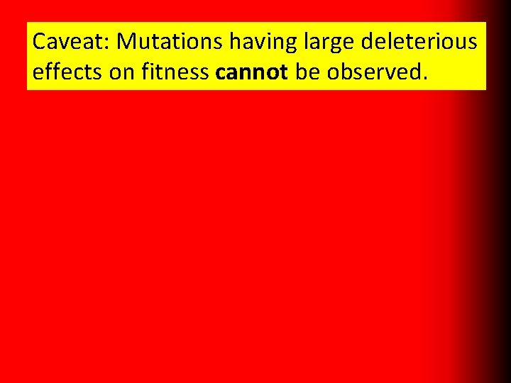 Caveat: Mutations having large deleterious effects on fitness cannot be observed. 