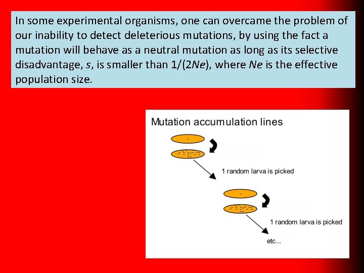 In some experimental organisms, one can overcame the problem of our inability to detect