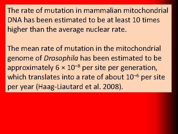 The rate of mutation in mammalian mitochondrial DNA has been estimated to be at