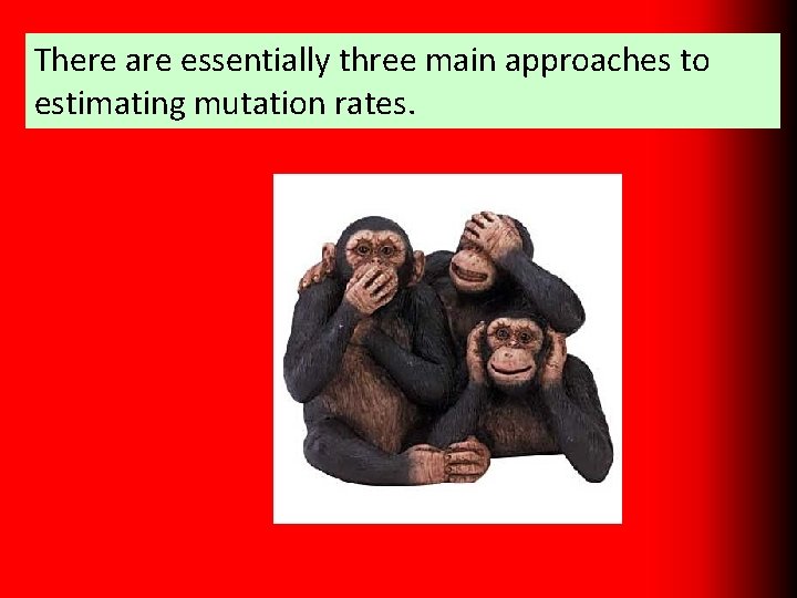 There are essentially three main approaches to estimating mutation rates. 