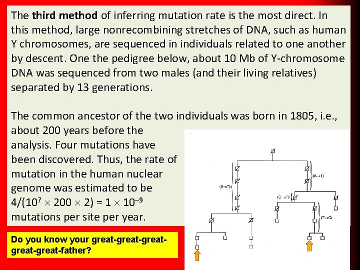 The third method of inferring mutation rate is the most direct. In this method,