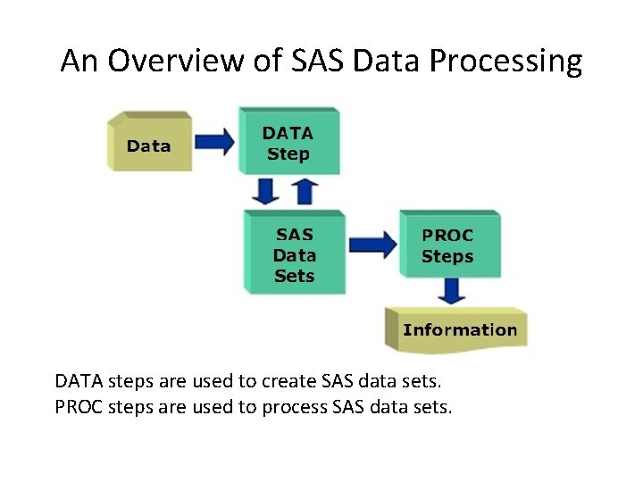 An Overview of SAS Data Processing DATA steps are used to create SAS data