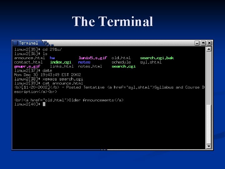 The Terminal 